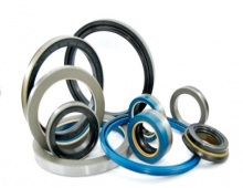 Oil Seals